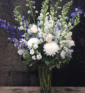 Deluxe Blue & White